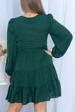 PL61155-9-1X, PL61155-9-2X, PL61155-9-3X, PL61155-9-4X, PL61155-9-5X, Green Plus Size Puff Sleeve Smocked Tiered Dress