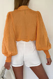 LC2553464-14-S, LC2553464-14-M, LC2553464-14-L, LC2553464-14-XL, LC2553464-14-2XL, Orange blouse