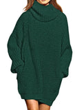 Pink Queen Women's Loose Turtleneck Oversize Long Pullover Sweater Dress