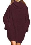 Pink Queen Women's Loose Turtleneck Oversize Long Pullover Sweater Dress
