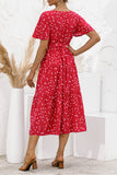 Red Women's Dresses Floral Polka Dot Belted Midi Dress LC229317-103