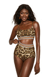 LC411956-20-S, LC411956-20-M, LC411956-20-L, LC411956-20-XL, Women's High Waisted Bikini Leopard Two-piece Bathing Suit