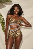 LC411956-20-S, LC411956-20-M, LC411956-20-L, LC411956-20-XL, Women's High Waisted Bikini Leopard Two-piece Bathing Suit