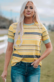 Stripe Womens Multicolor Stripes Crew Neck T Shirt LC25114092-19