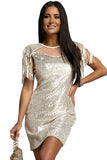 Apricot Womens Sequin Bodycon Mini Dress Mesh Sleeve Dress with Tassel LC228800-18