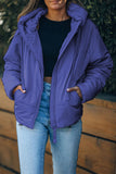 LC856045-4-S, LC856045-4-M, LC856045-4-L, LC856045-4-XL, LC856045-4-2XL, Sky Blue Winter Coats for Women Outdoor Zipper Hooded Coat Outwear with Pockets