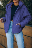 LC856045-4-S, LC856045-4-M, LC856045-4-L, LC856045-4-XL, LC856045-4-2XL, Sky Blue Winter Coats for Women Outdoor Zipper Hooded Coat Outwear with Pockets