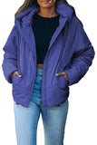 LC856045-4-S, LC856045-4-M, LC856045-4-L, LC856045-4-XL, LC856045-4-2XL, Sky Blue Winter Coats for Women Outdoor Zipper Hooded Coat Outwear with Pockets