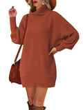 LC273345-1017-S, LC273345-1017-M, LC273345-1017-L, LC273345-1017-XL, Brown Women Casual Turtleneck Oversized Sweater Dresses Ribbed Baggy Pullover Knit Dress
