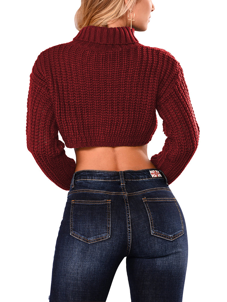 PSE2514WR-L, PSE2514WR-M, PSE2514WR-S, PSE2514WR-XL, Ruby Women's Turtleneck Long Sleeve Knit Pullover Crop Sweater