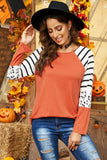 Striped Animal Print Colorblock Long Sleeve Top