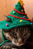 Dog Cat Christmas Costume Christmas Tree Hat For Pet