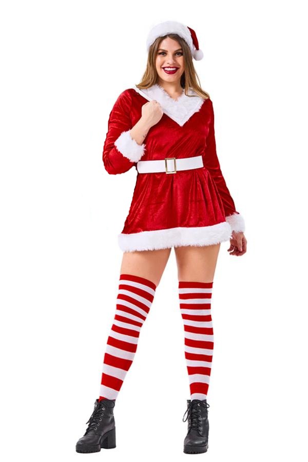 Deluxe Plus Size Christmas Santa Costume For Women