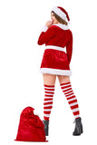 Deluxe Plus Size Christmas Santa Costume For Women