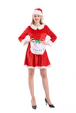Adult Deluxe Mrs Claus Costume With Apron