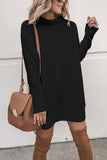 Casual Long Sleeve High Neck Plain Mini Sweater Dress Black