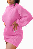 Solid Long Sleeve Turtleneck Sweater Dress