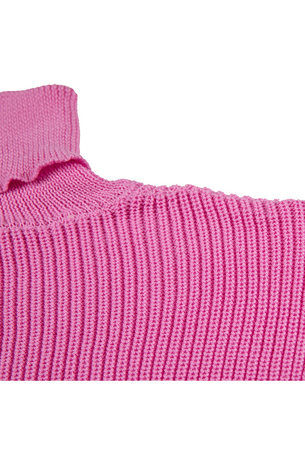 Solid Long Sleeve Turtleneck Sweater Dress