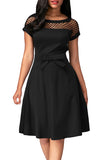 Crew Neck Short Sleeve Bowknot Decoration Fishnet Midi Skater Dress Black