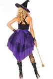 Sexy Adult Plus Size Witch Halloween Costume Purple