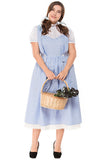 Plus Size Wizard Of Oz Dorothy Princess Costume