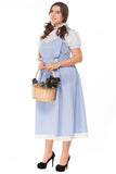 Plus Size Wizard Of Oz Dorothy Princess Costume