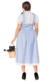 Plus Size Wizard Of Oz Dorothy Princess Costume