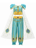 Jasmine Aladdin Princess Dress Halloween Costume Blue