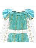 Jasmine Aladdin Princess Dress Halloween Costume Blue