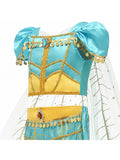 Jasmine Aladdin Princess Dress Halloween Costume Blue