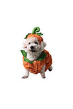 Cute Halloween Pumpkin Pet Costume Orange