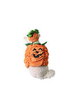 Cute Halloween Pumpkin Pet Costume Orange