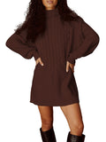 Women Turtleneck Dolman Sleeve Knitted Sweater Mini Dress