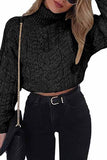 High Neck Cable Knit Crop Casual Solid Sweater Black