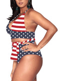 Plus Size Two Piece Bikini Swimsuits USA Flag Print Tummy Control Bathing Suits