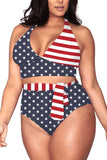 Womens Plus Size Halter High Waisted Swimwear Tummy Control Bottoms Bathing Suits