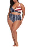 Plus Size American Flag Print Bikini Set
